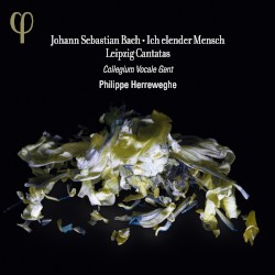 Ich elender Mensch & Leipzig Cantatas (BWV 44, 48, 73, 109)
