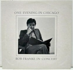 One Evening In Chicago