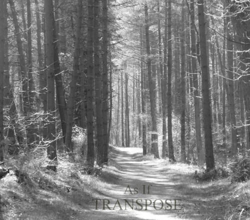 Transpose