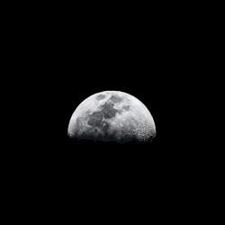 Moon Children