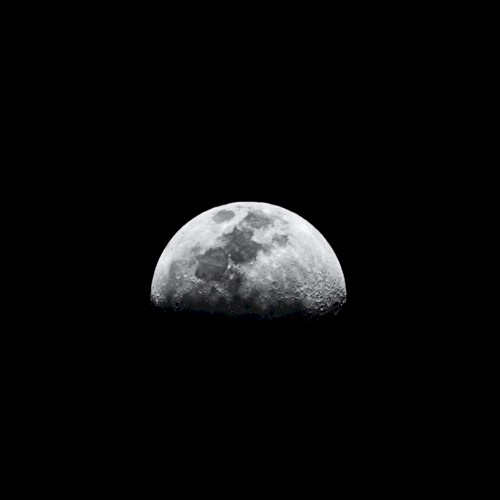 Moon Children