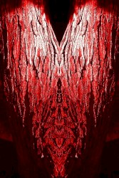 Amor seu bellum