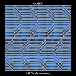 AVIATION (SARE Electro House Remix)