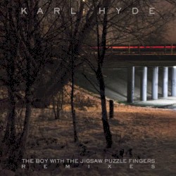The Boy with the Jigsaw Puzzle Fingers