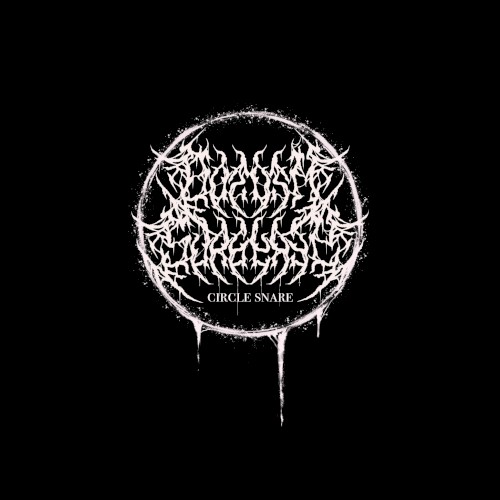 circle snare