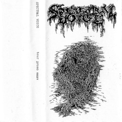 Tour Promo MMXV