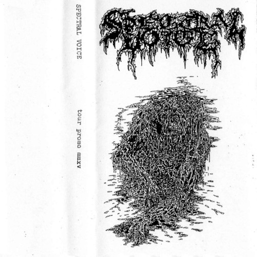 Tour Promo MMXV