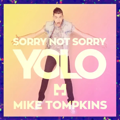 Sorry Not Sorry (YOLO)