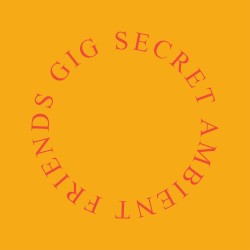 Secret Ambient Friends Gig