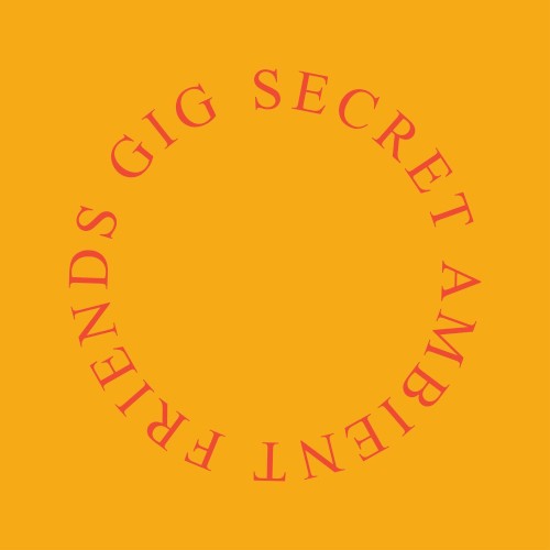 Secret Ambient Friends Gig
