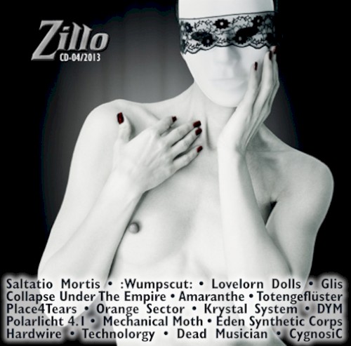 Zillo CD-04/2013