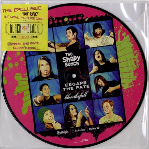 The Shady Bunch