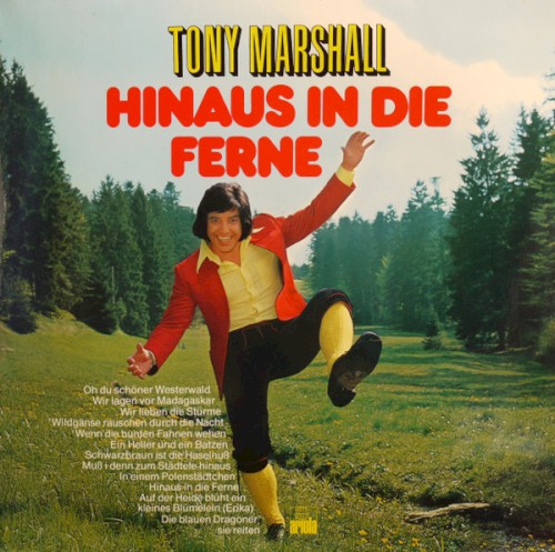 Hinaus in die Ferne