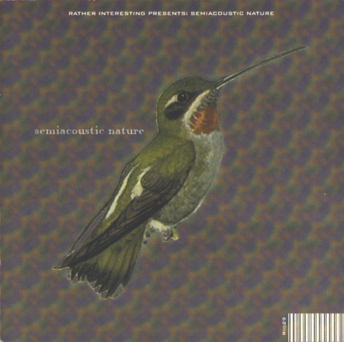 Semiacoustic Nature