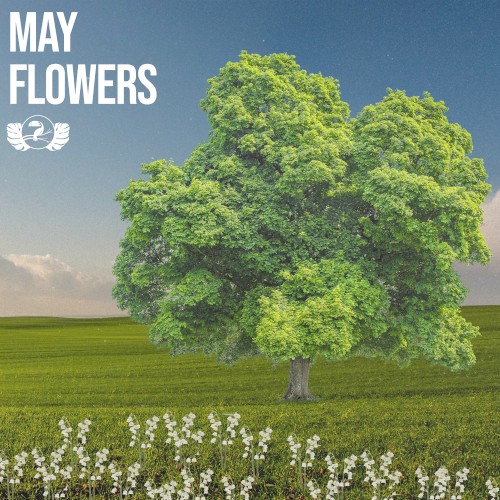 May Flowers