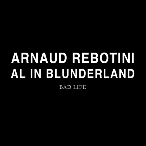 Al In Blunderland