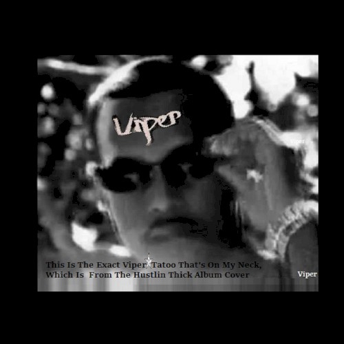 My FAVE Tattoo (This Is The Exact Viper Tatoo That's On My Neck, Which Is From The Hustlin Thick Album Cover)