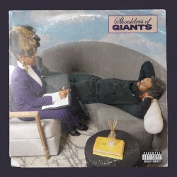 Shoulders of Giants