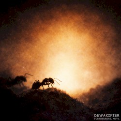 Furthermore, ants.