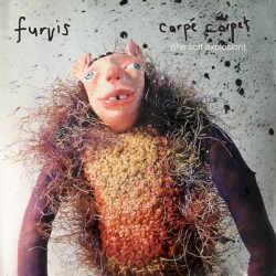 Carpe Carpet (The Soft Explosion)