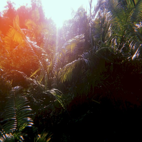 Environmental Utopia