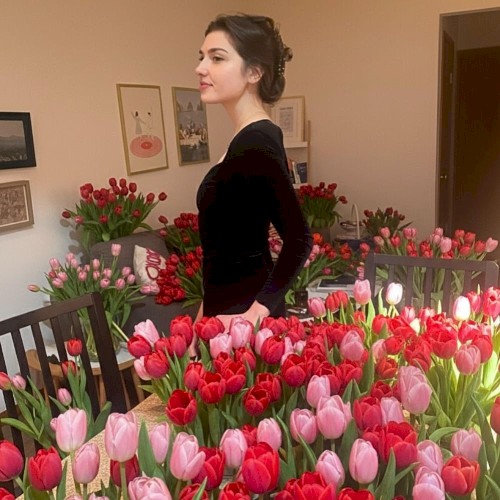 Tulips