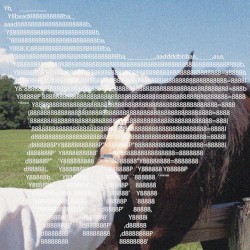 Horse Saturday