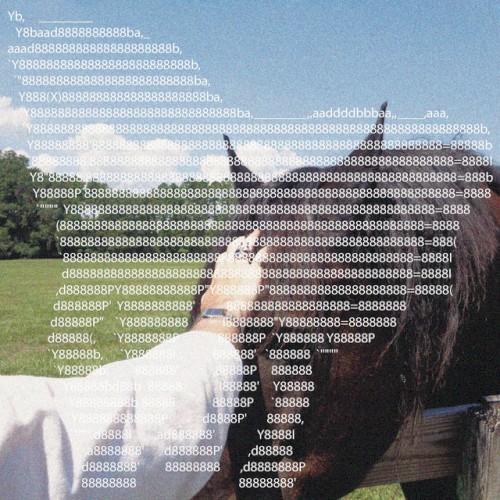 Horse Saturday