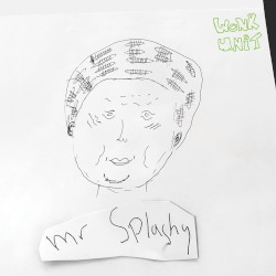 Mr Splashy