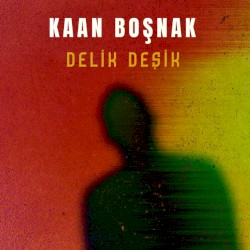 Delik Deşik