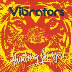 Hunting for You
