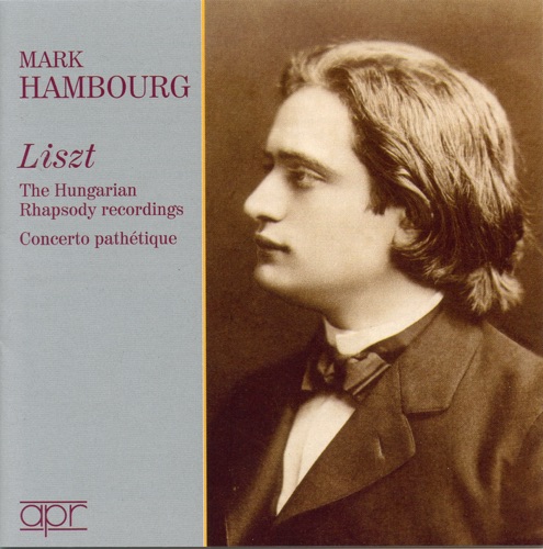 The Hungarian Rhapsody Recordings / Concerto pathétique