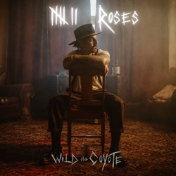 7 Roses