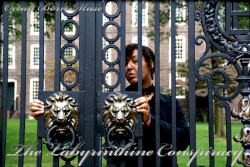 The Labyrinthine Conspiracy