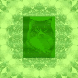 Clover