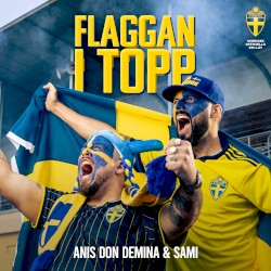 Flaggan i topp (Sveriges Officiella EM-låt 2021)