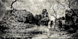 Dark Paths