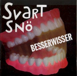 Besserwisser