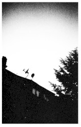 Swallowing Bile / The Bringer Of Everything