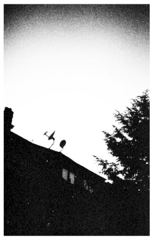 Swallowing Bile / The Bringer Of Everything