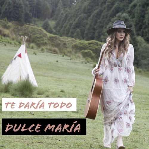 Te daría todo