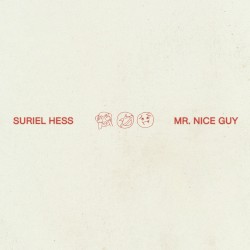 Mr. Nice Guy