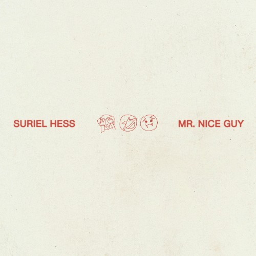 Mr. Nice Guy