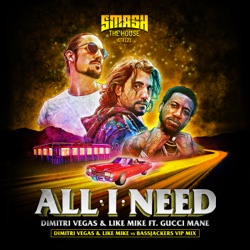 All I Need (DVLM x Bassjackers VIP mix)