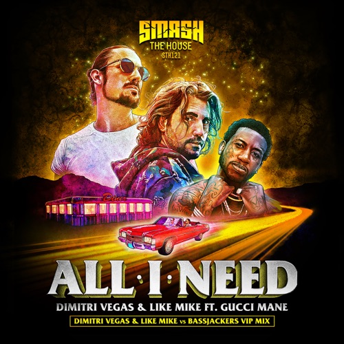 All I Need (DVLM x Bassjackers VIP mix)