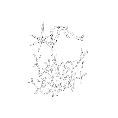 Metro EP