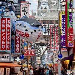 Fugu