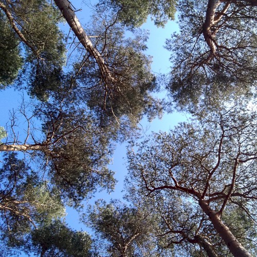 fractal air