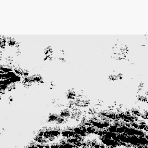 The Black Sea