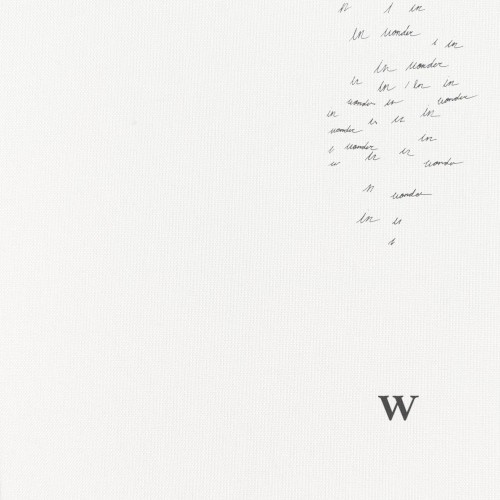 Wonder (acoustic)